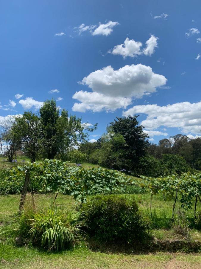 Sitio Vale Dos Vinhedos Bento Gonçalves Exterior foto